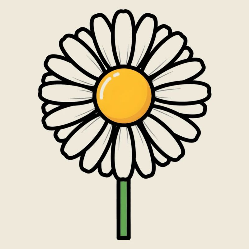 daisy
