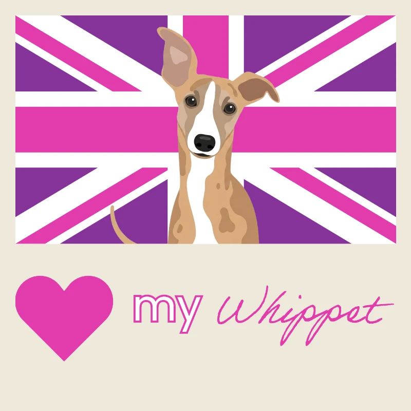 VIOLETWHIPPET (Rose)
