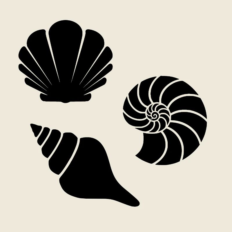 Coquillages