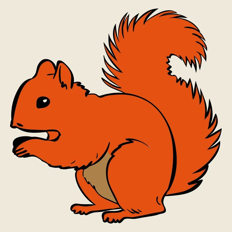 Eichhörnchen