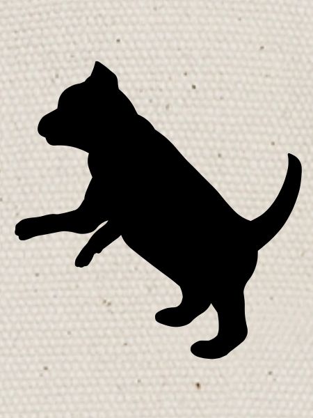 Ludique chiot