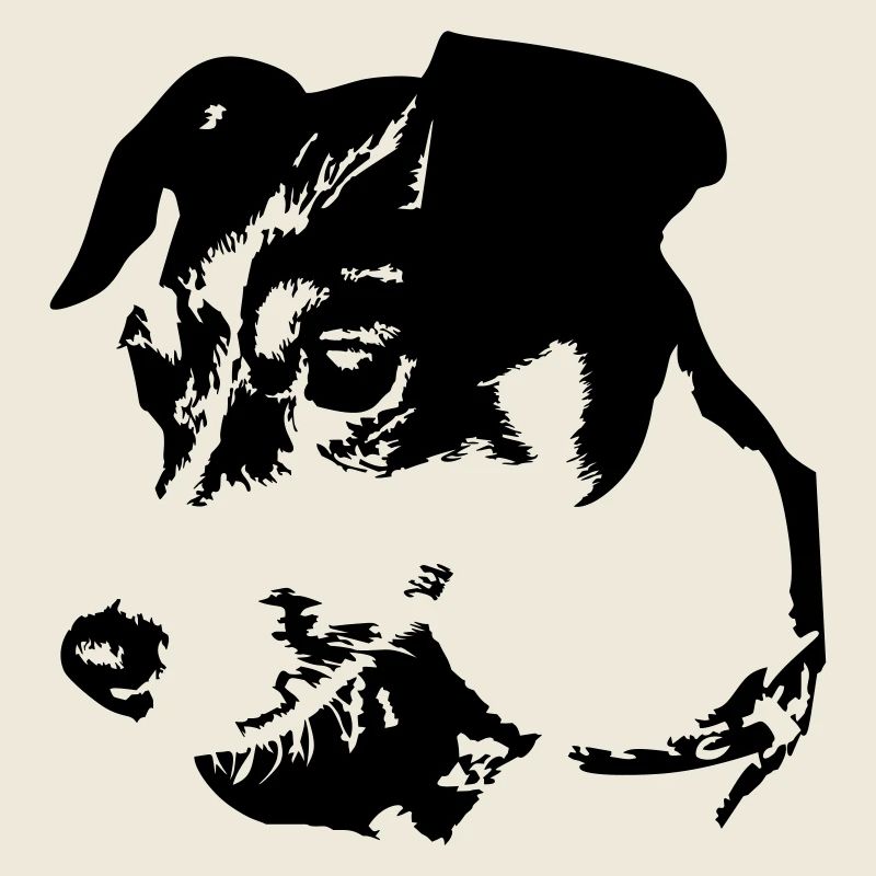 Tête de Jack Russell Terrier