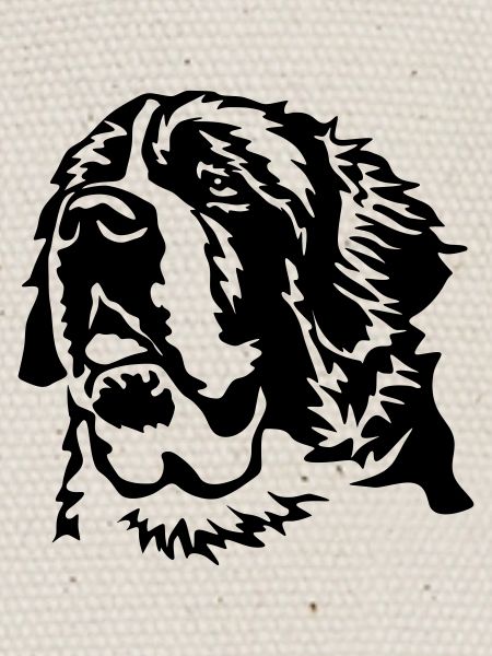 Tête de Saint Bernard