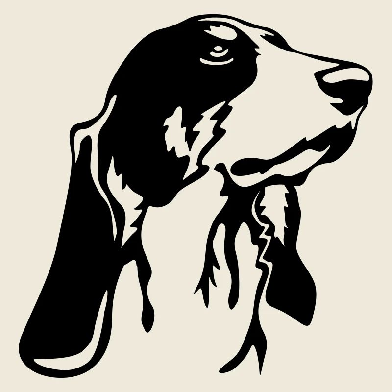 Berner Laufhund Kopf