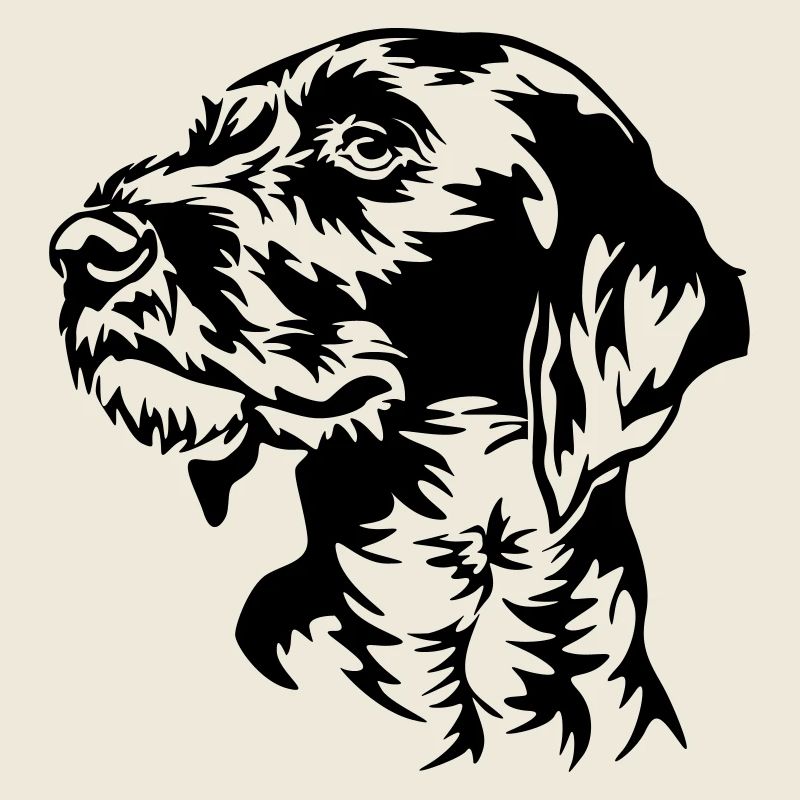 German Wirehaired Pointer head