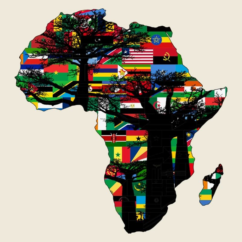 afrique baobab et drapeaux