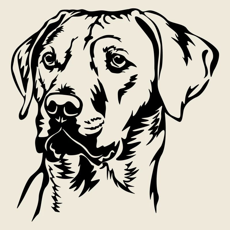 Rhodesian Ridgeback Kopf