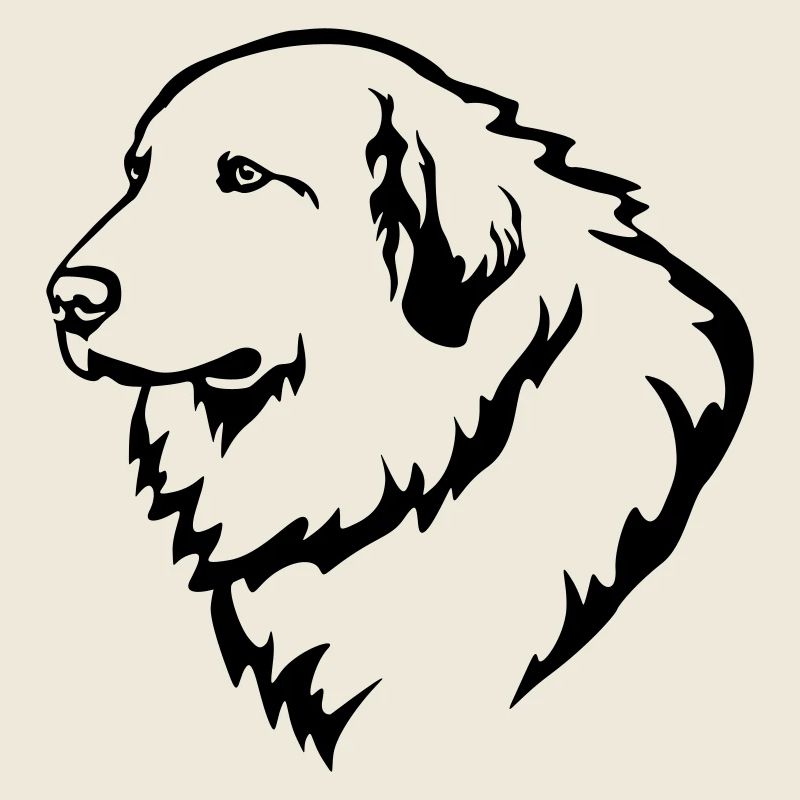 Pyrenean Mountain Dog Head