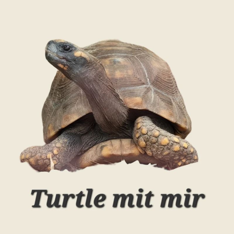 Turtle mit mir