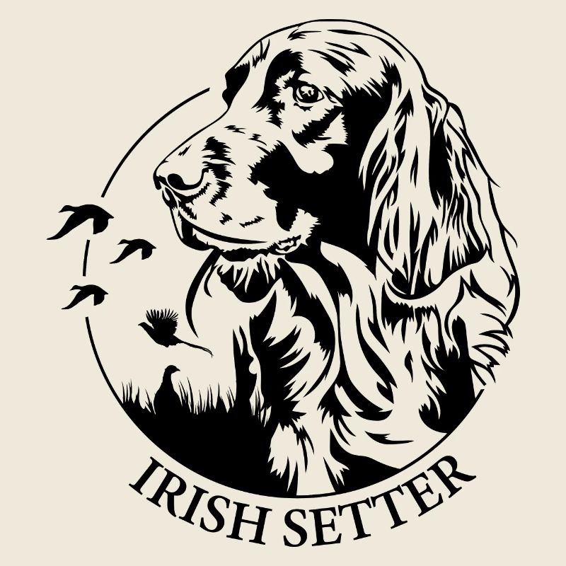 Setter irlandais Chien de chasse Chiens de chasse Chiens Wilsigns