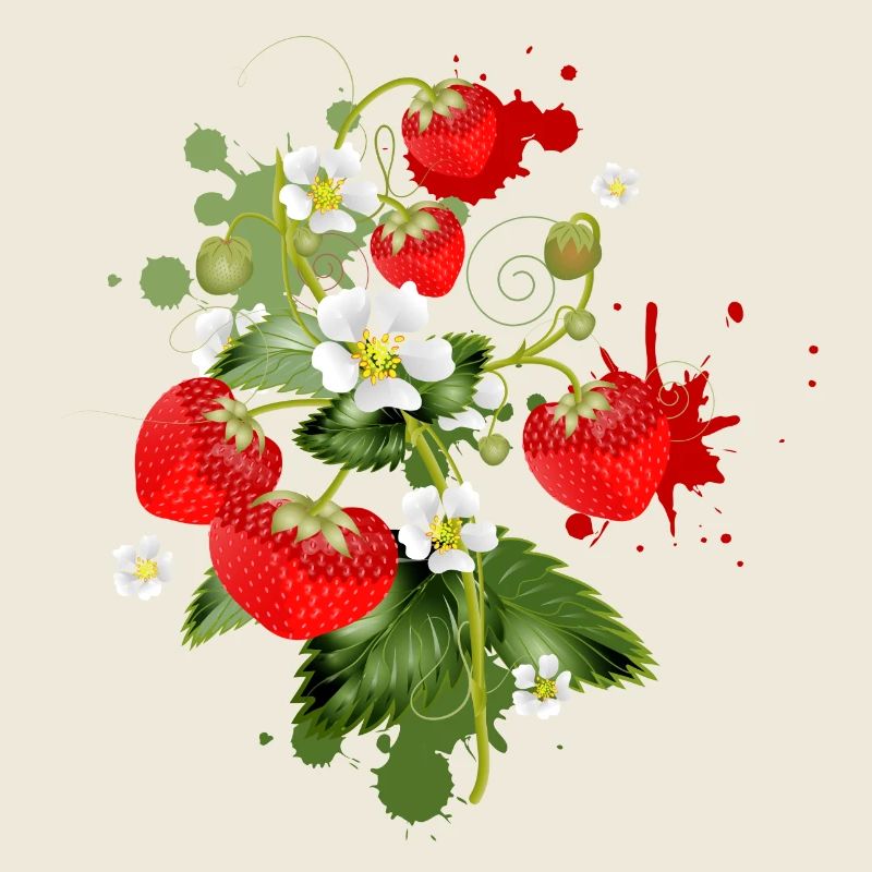Erdbeeren Pflanze mit Erdbeeren Blüte Graffiti
