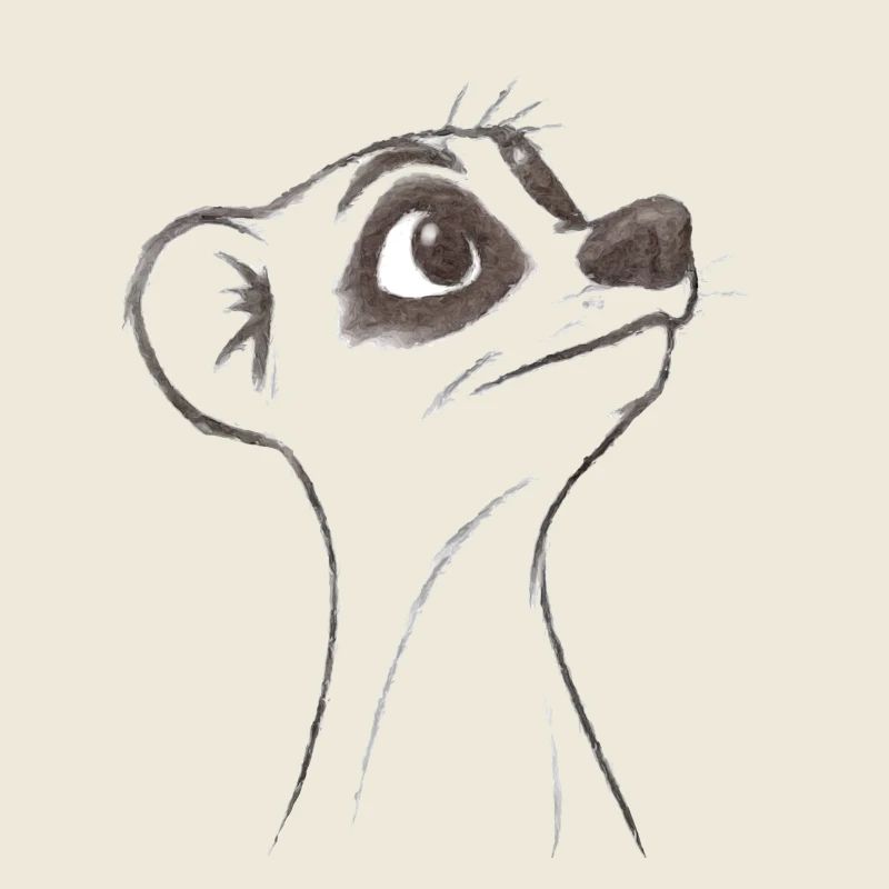 fragendes Erdmännchen