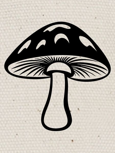 champignon