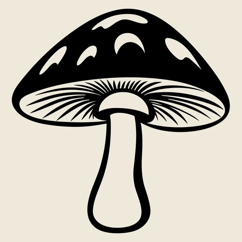Pilz