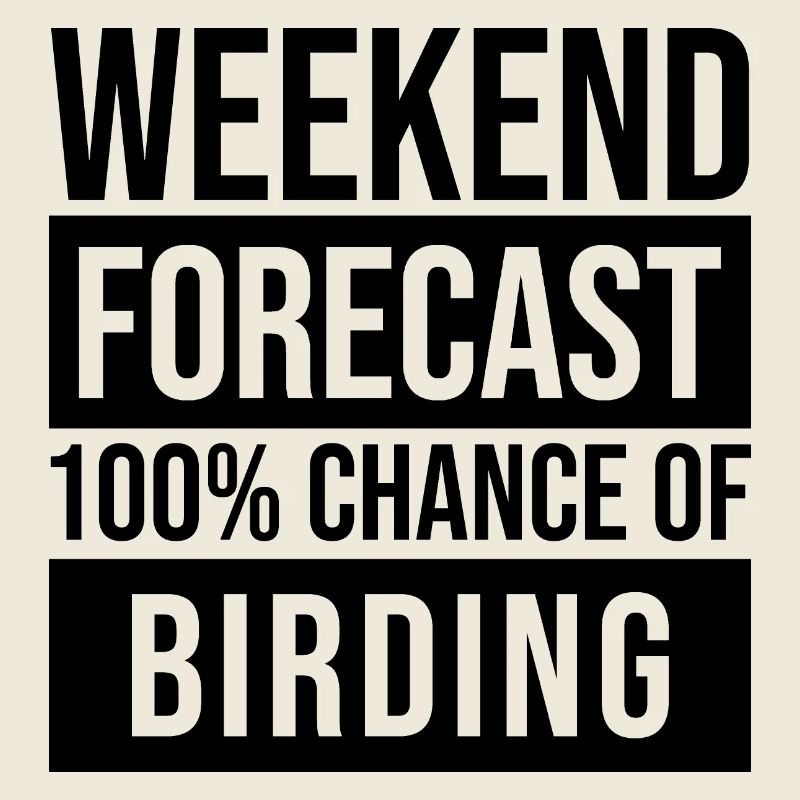 Birder