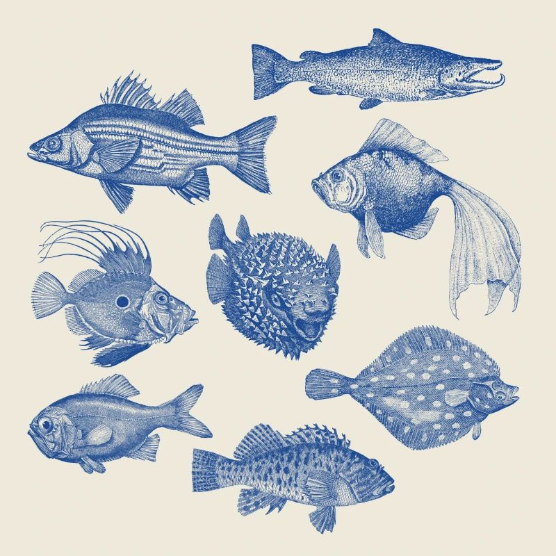 Fishes for compliments