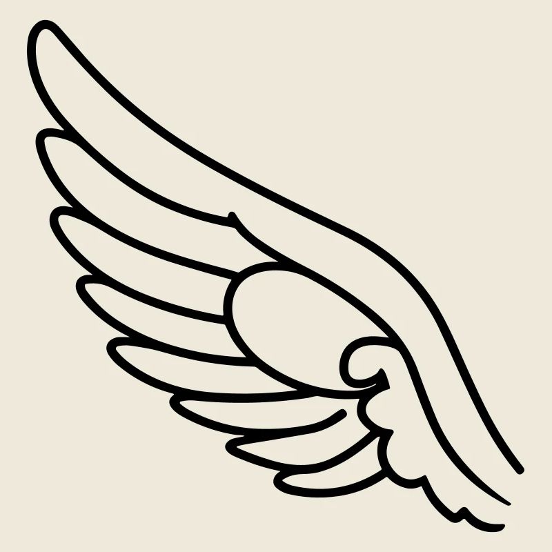 Ailes d'ange
