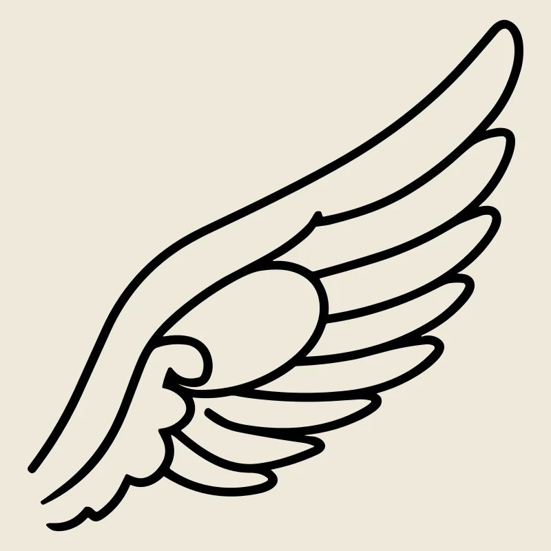Ailes d'ange