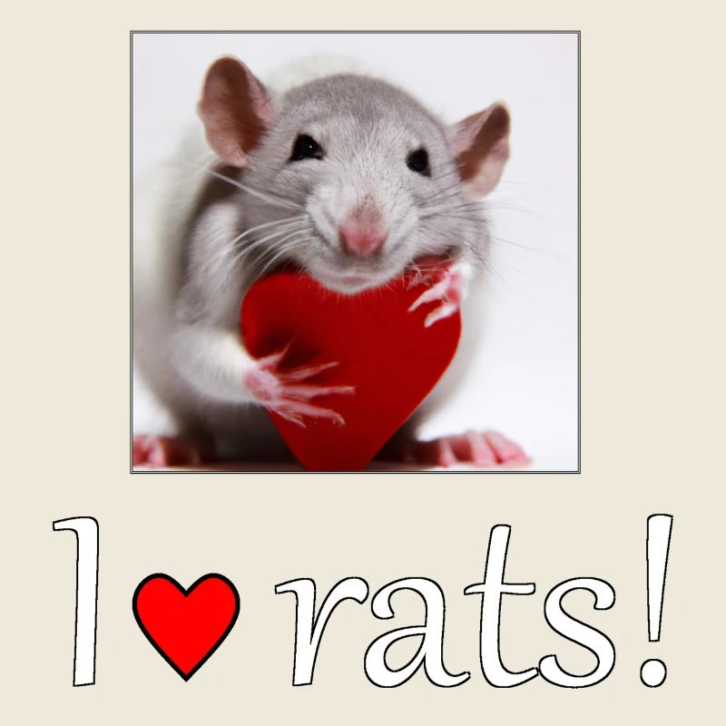 Ratte mit Herz