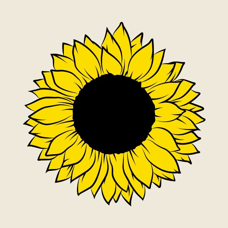 Tournesol