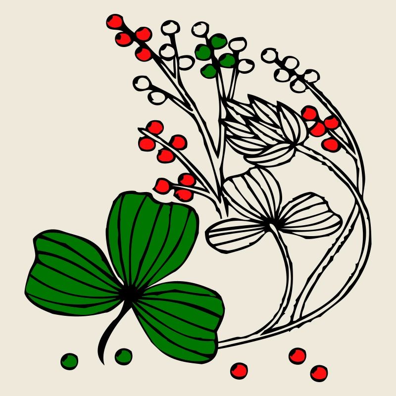 Wildflowers with red and green berries