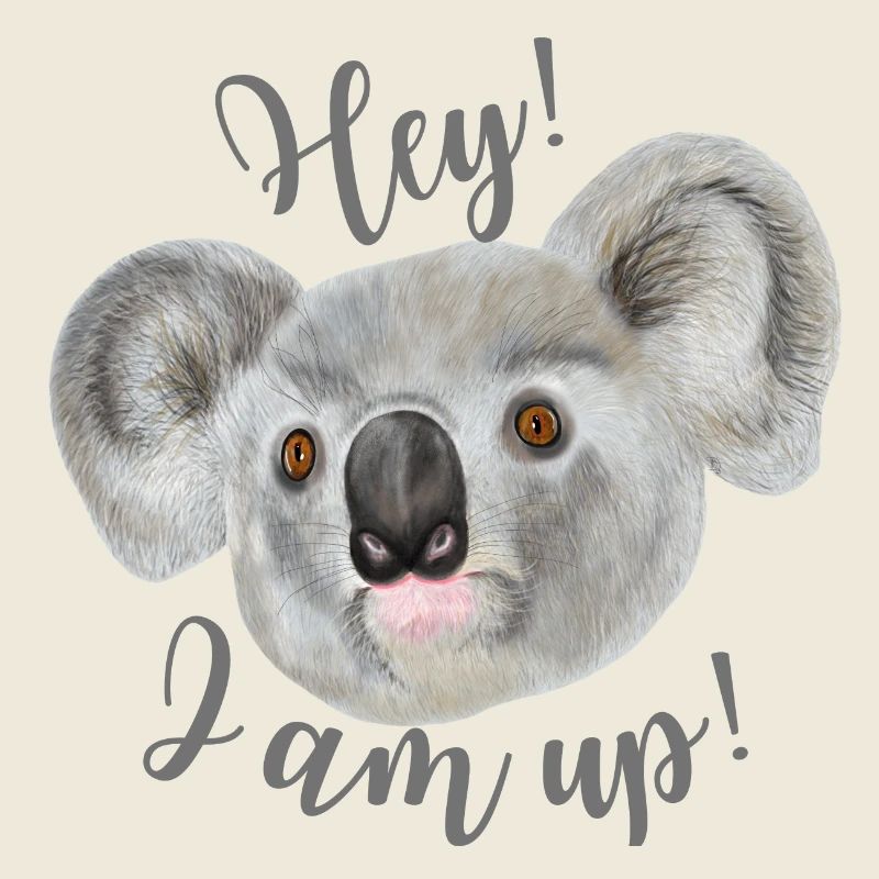 Koala