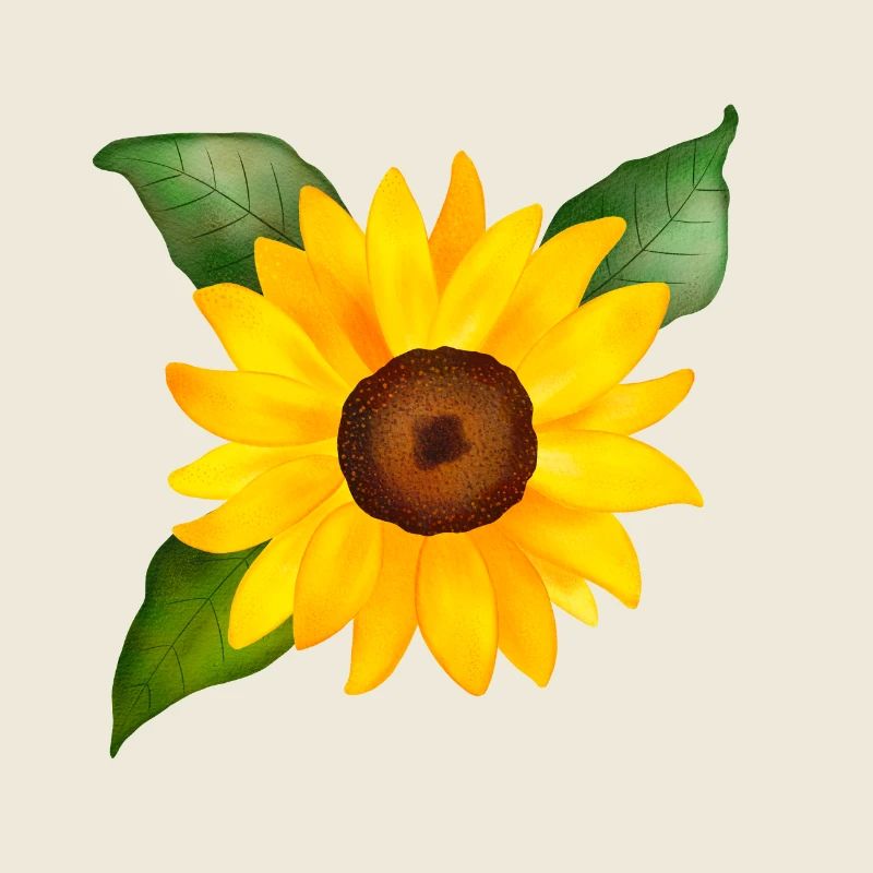 Joyeuse aquarelle de tournesol peinte à la main