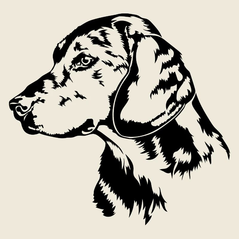 ALPENLÄNDISCHE DACHSBRACKE Hundeportrait Wilsigns