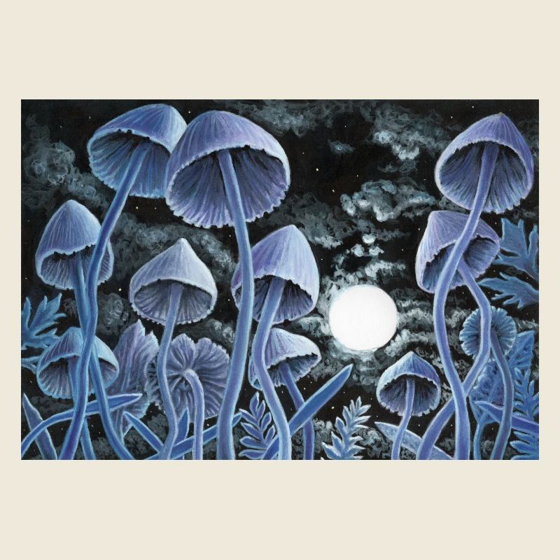 Twelve magic mushrooms at full moon