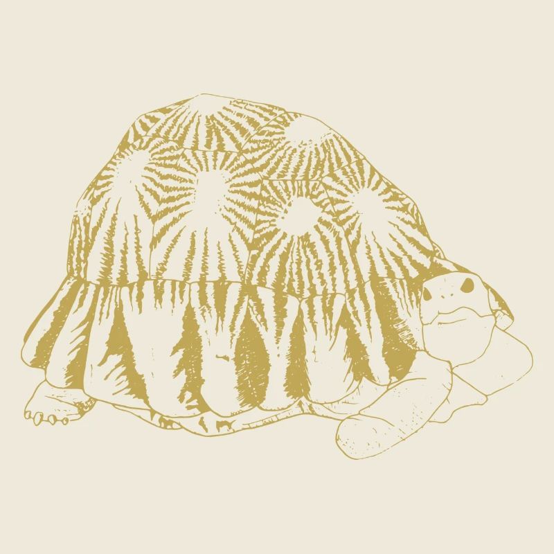 Illustrierte Designs mit Schildkröte