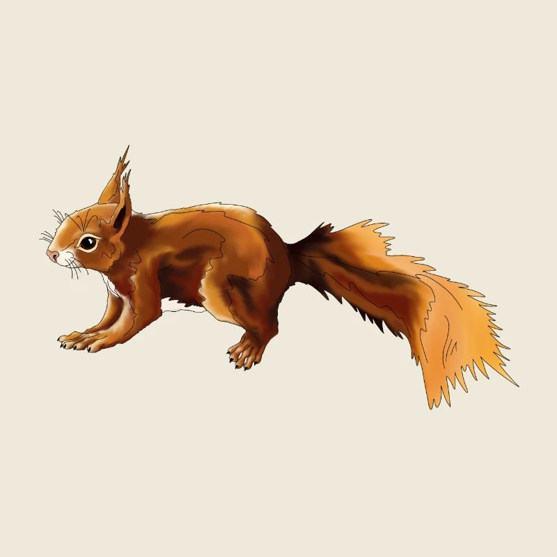Eichhörnchen 3