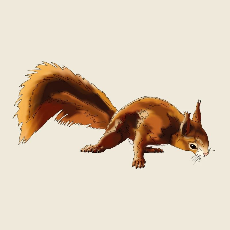 Squirrel 4