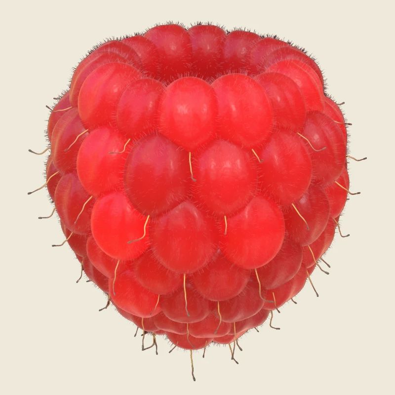 Modèle de grappe de framboises