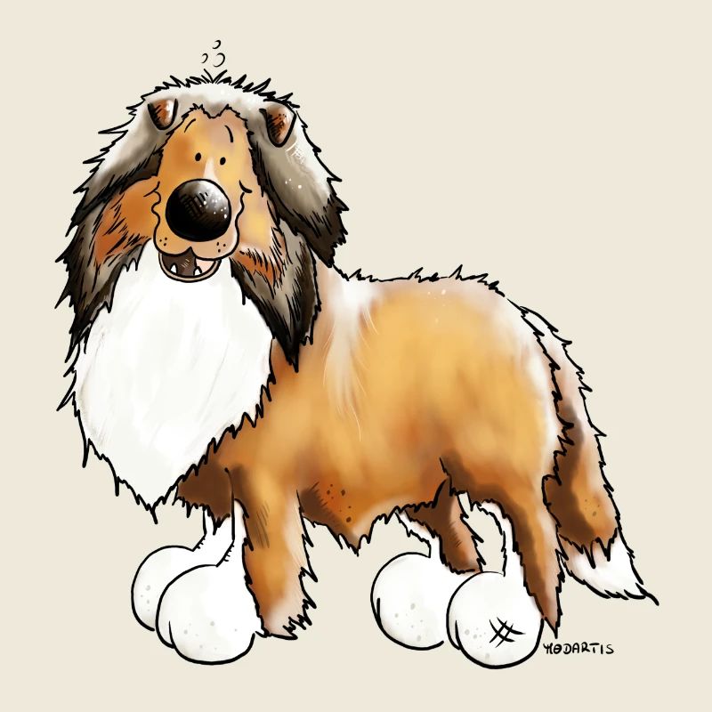 Collie - Rough Collie - Rough
