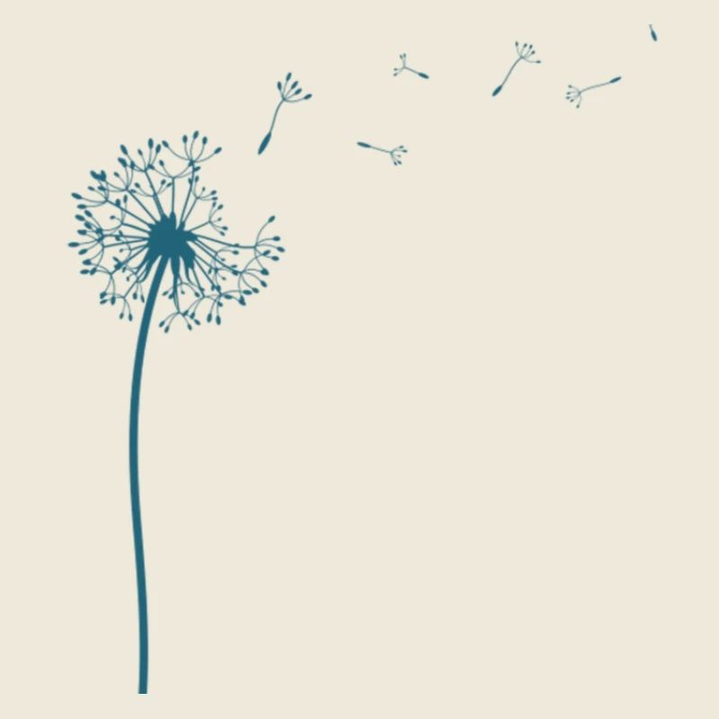 Federleichter Löwenzahn mit Pusteblumen