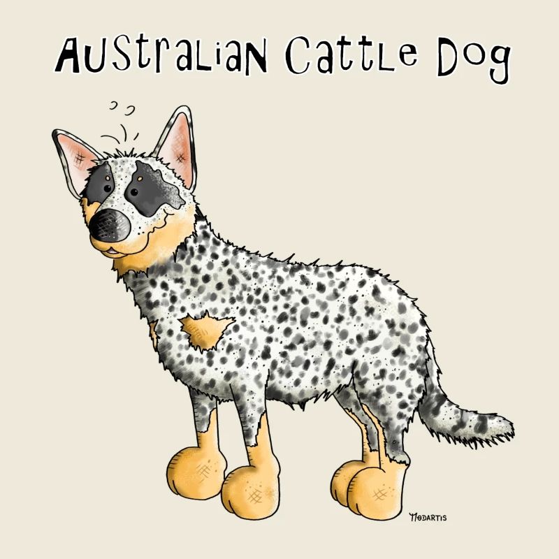 Glücklicher Australian Cattle Dog - Hund