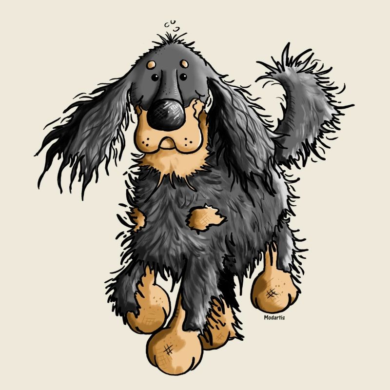 Drôle Setter Gordon - Chien