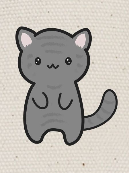 Chat tigre
