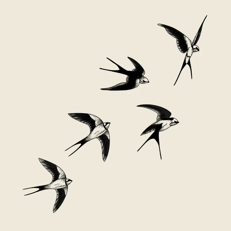 Oiseaux hirondelles 
