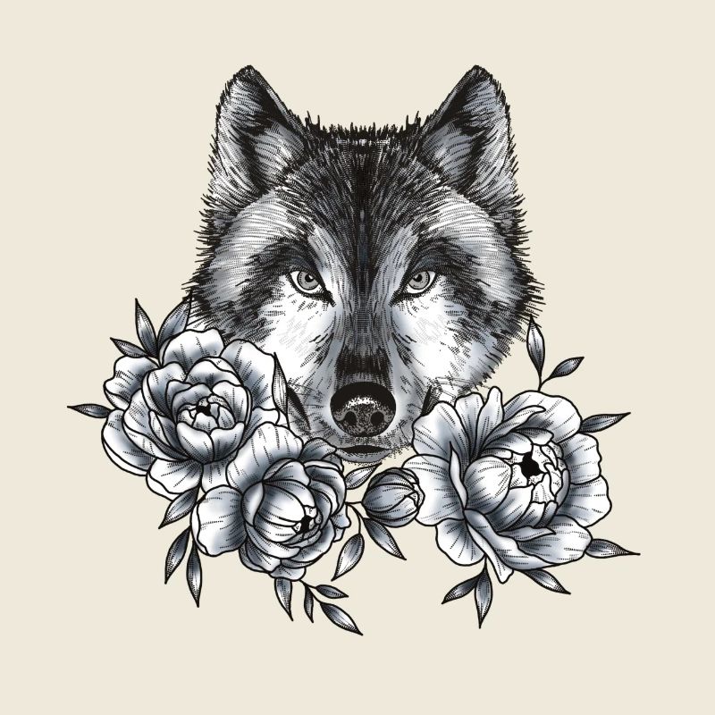 Wolf und Pfingstrosen