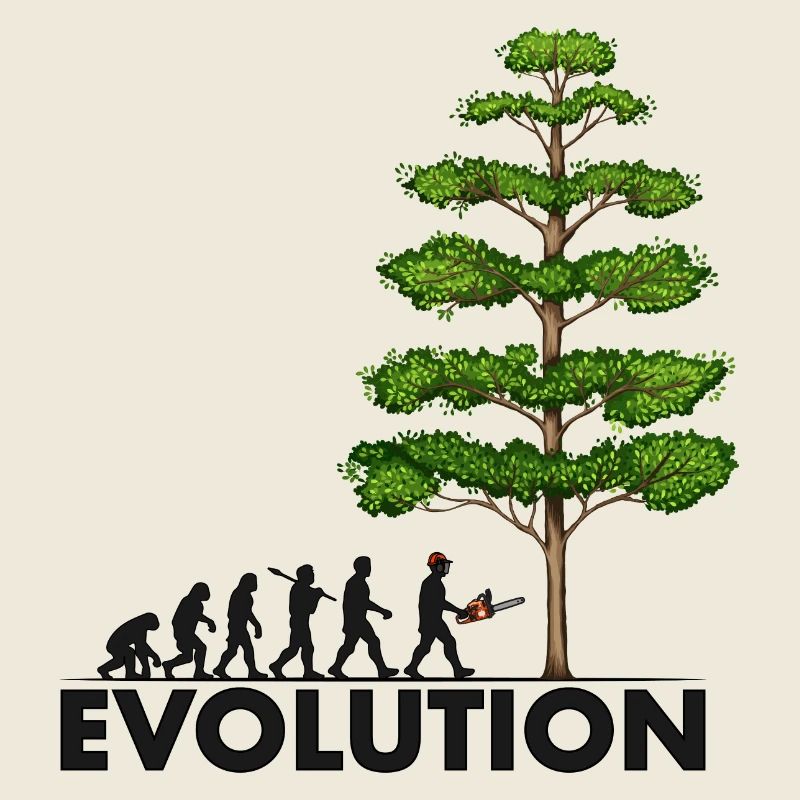 Tronçonneuse Evolution Grey Big Tree