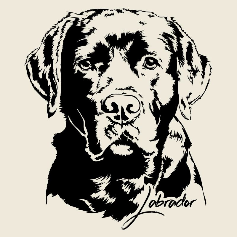 LABRADOR Retriever Labbi Chien Chien Wilsigns