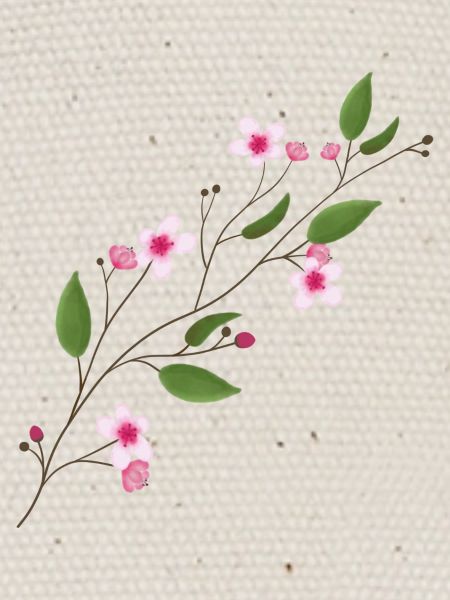 Fleur de cerisier