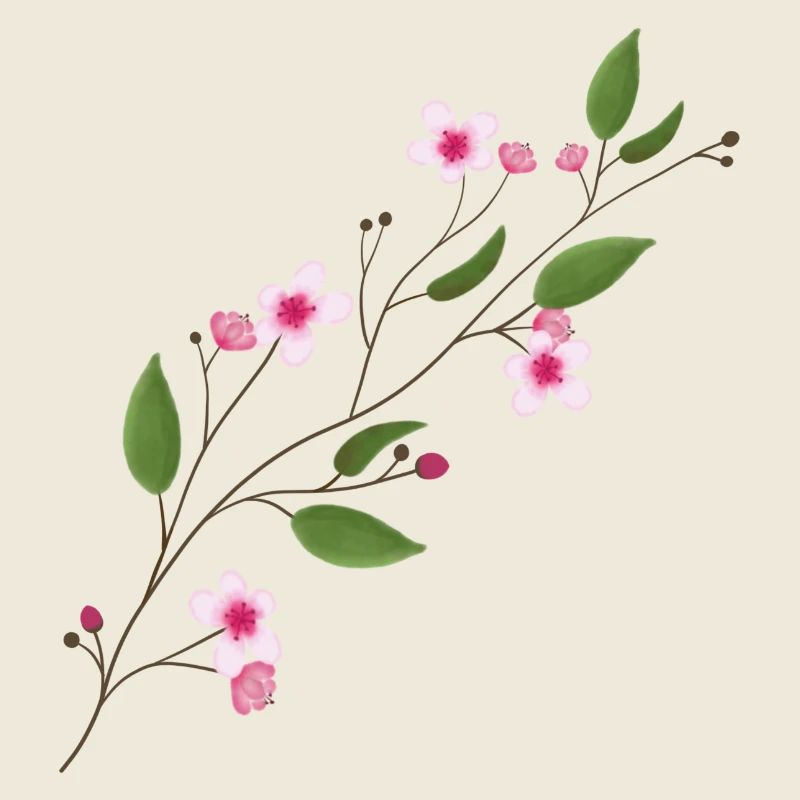 Kirschblüte