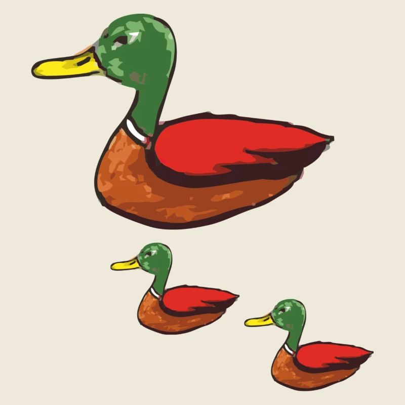 canard maman