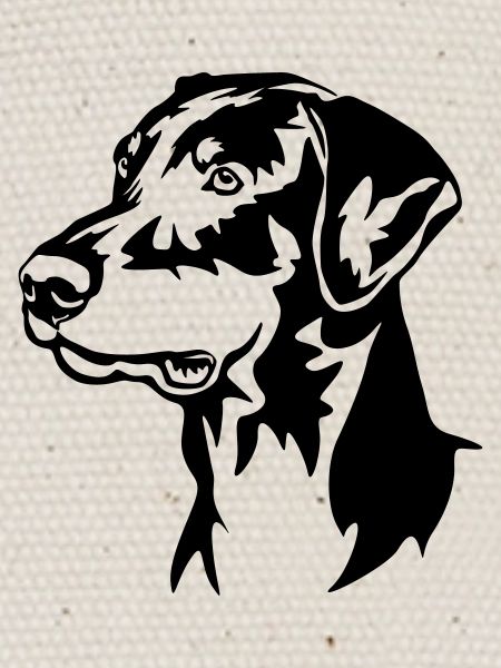Tête de Doberman