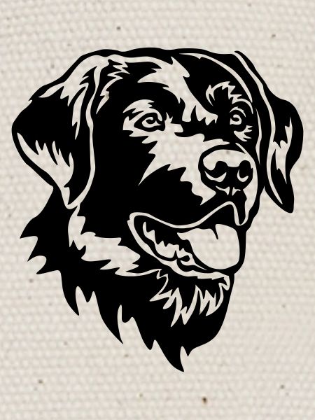 Tête de Labrador