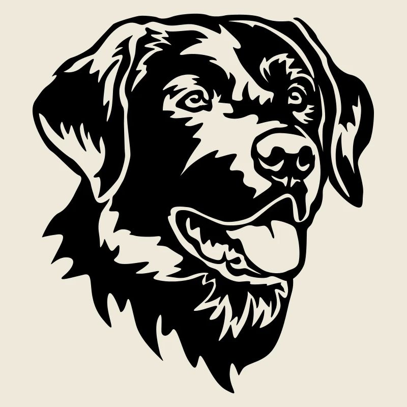 Labrador Head