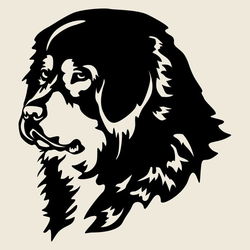 Tête de chien tibétain