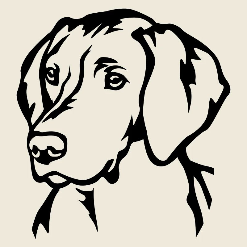 Magyar Vizsla Head